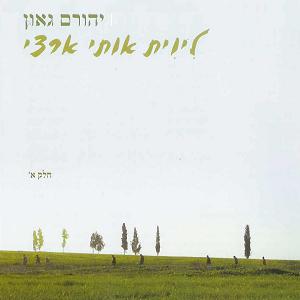 ליוית אותי ארצי (2006)